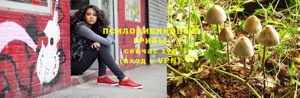 каннабис Верея