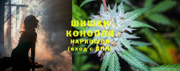каннабис Верея