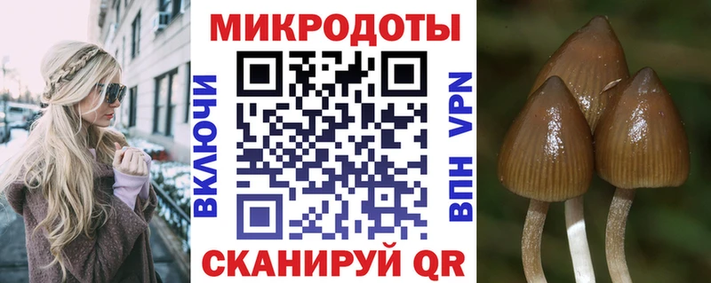 Галлюциногенные грибы прущие грибы  Динская 